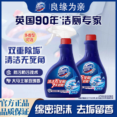 蓝多霸洁厕泡泡清洁祛味除菌