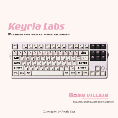 Keyria Labs / 天生反派 客制化键帽五面热升华