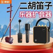 琅韵D91乐器音箱拾音器古筝古琴二胡专用无线扩音器专业蓝牙音响