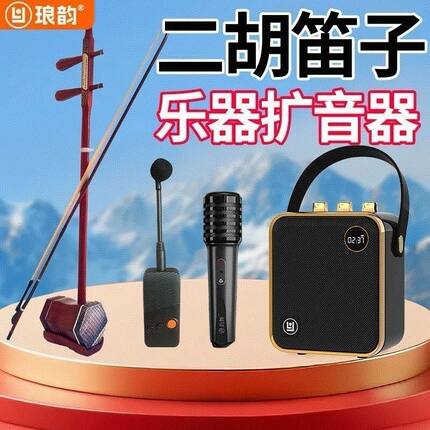 琅韵D91乐器音箱拾音器古筝古琴二胡专用无线扩音器专业蓝牙音响