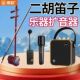 琅韵D91乐器音箱拾音器古筝古琴二胡专用无线扩音器专业蓝牙音响