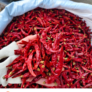 徐州特产睢宁特产魔鬼辣椒干红椒炒菜辣椒无干燥剂整个辣椒包邮
