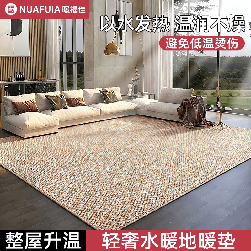 2025新款水暖电热地垫地暖垫地毯家用客厅可拆洗水循环正品旗舰店