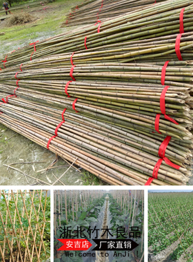 小竹杆架种菜园搭架豆角黄瓜架竹子旗杆绿化栅栏围栏撑树粗细竹竿