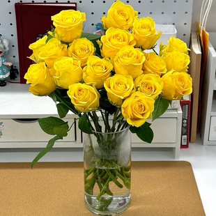包邮 云南新鲜鲜花全店任意2件 送货上门 金枝玉叶黄色玫瑰10支