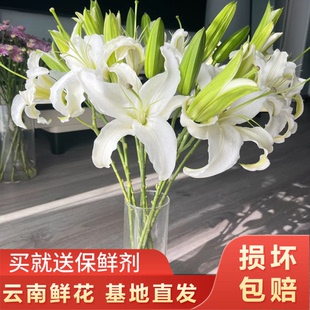 【3支多头西伯利亚白百合12-15个花苞】 任意两件顺丰京东包邮