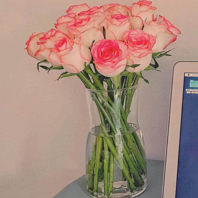 艾莎玫瑰10支云南新鲜鲜花 全店任意两件顺丰京东包邮