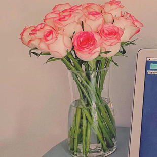 艾莎玫瑰10支云南新鲜鲜花全店任意2件 送货上门 包邮