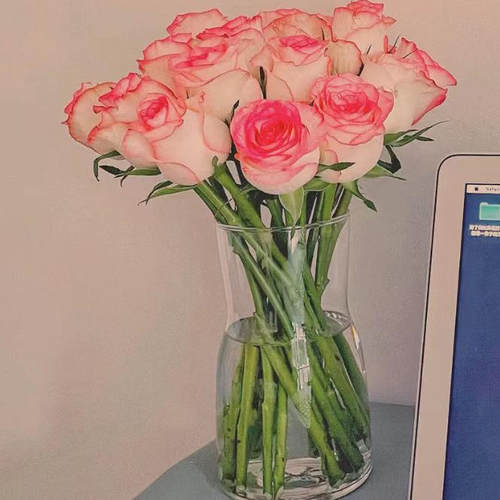 艾莎玫瑰10支云南新鲜鲜花 全店任意两件顺丰京东包邮