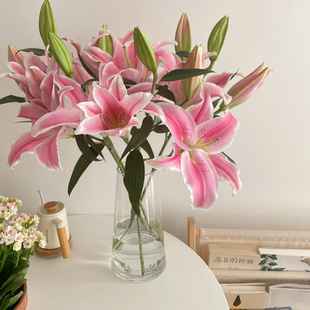 包邮 全店任意2件 15个花苞 送货上门 3支多头粉百合12