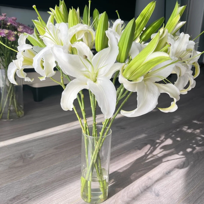 【3支多头西伯利亚白百合12-15个花苞】全店任意两件顺丰包邮