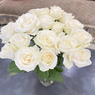 包邮 云南新鲜鲜花全店任意2件 送货上门 骄傲白玫瑰10支