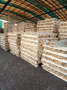 树木木棍支撑架园林绿化工程美观防风厂家直供杨木杆桦木杆去皮