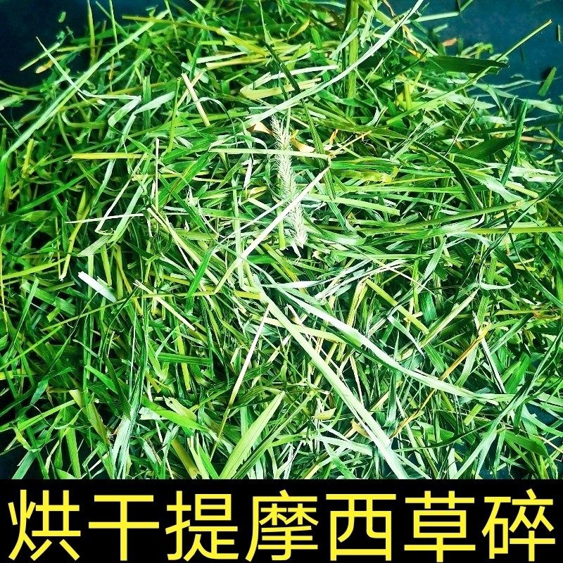 烘干北提摩西草碎兔兔干草龙猫荷兰猪粮草甘肃北提草碎段草碎,宠物/宠物食品及用品,兔兔干草,淘宝优惠券,粉丝福利购,淘宝优惠卷