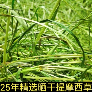 25年晒干特级提摩西草兔兔干草龙猫粮食荷兰猪饲料粮草甘肃北提草