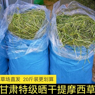 25年特级晒干提摩西草20斤兔子干草龙猫粮草甘肃北提晒干