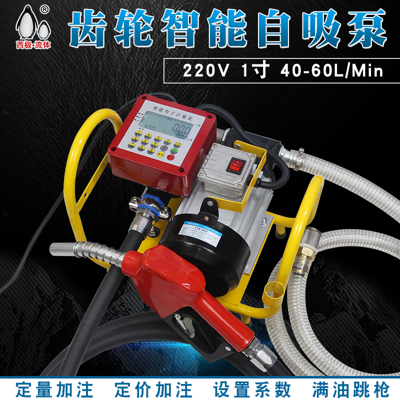 WCB齿轮泵机油液压油润滑油220V12V24电动自吸计量泵加油泵