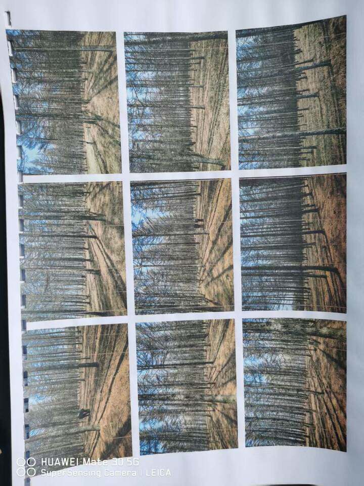 马常玉名下林权