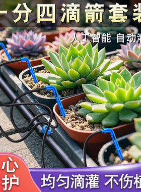 滴箭一出二一出四大棚温室盆栽滴灌果园果树自动弯滴剑头滴管设备