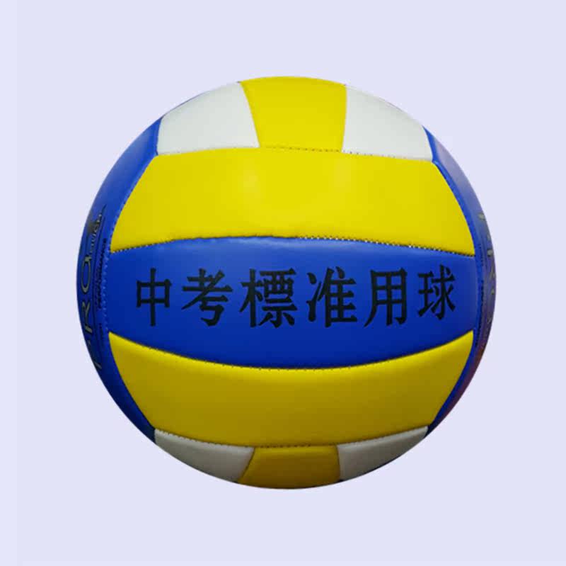Ballon de volley-ball - Ref 2012459 Image 3