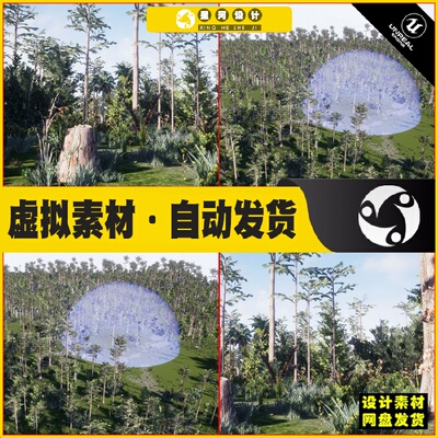 UE5 Depression Marsh Habitat Brush 沼泽栖息地湿地灌木场景5.3