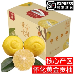 岁末湖南怀化黄金贡柚新鲜象山青柚子春香纯甜橘柚生鲜水果礼盒