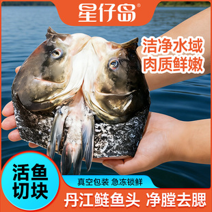 【星仔岛】丹江口白鲢鱼头400-500g新鲜现杀淡水鱼煲汤剁椒鱼头