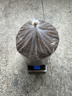 饲料精品金鱼布里斯托草金15一斤 10斤大部分地区包邮