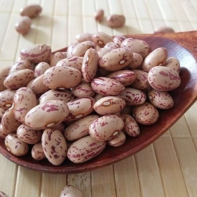 农家自产芸豆包邮小园