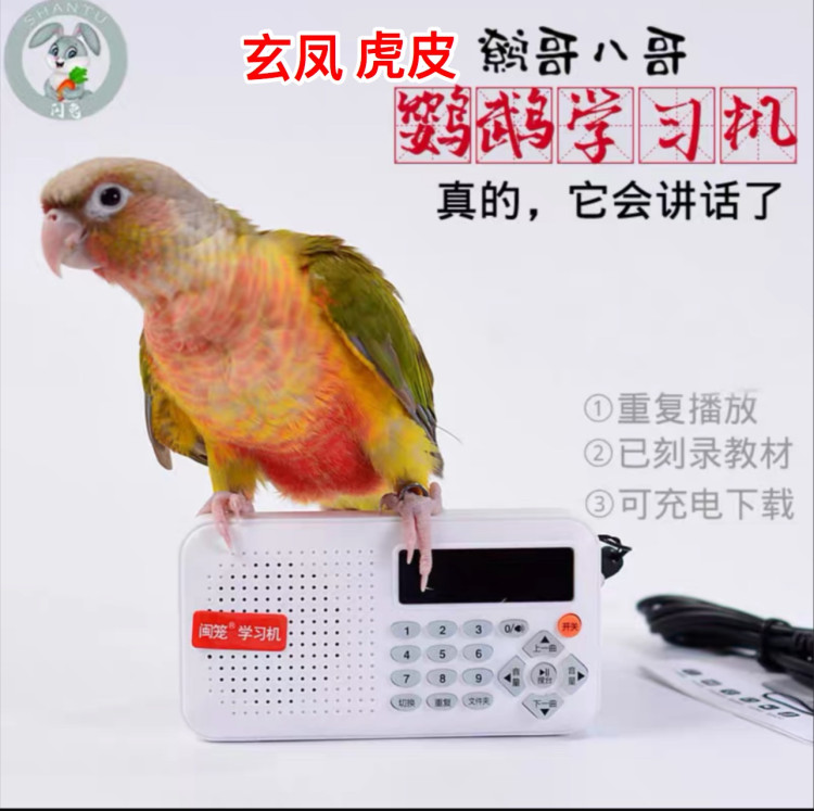 鹦鹉学习机含内存卡鸟用复读机八哥录音器鹩哥教讲话学舌训练学语