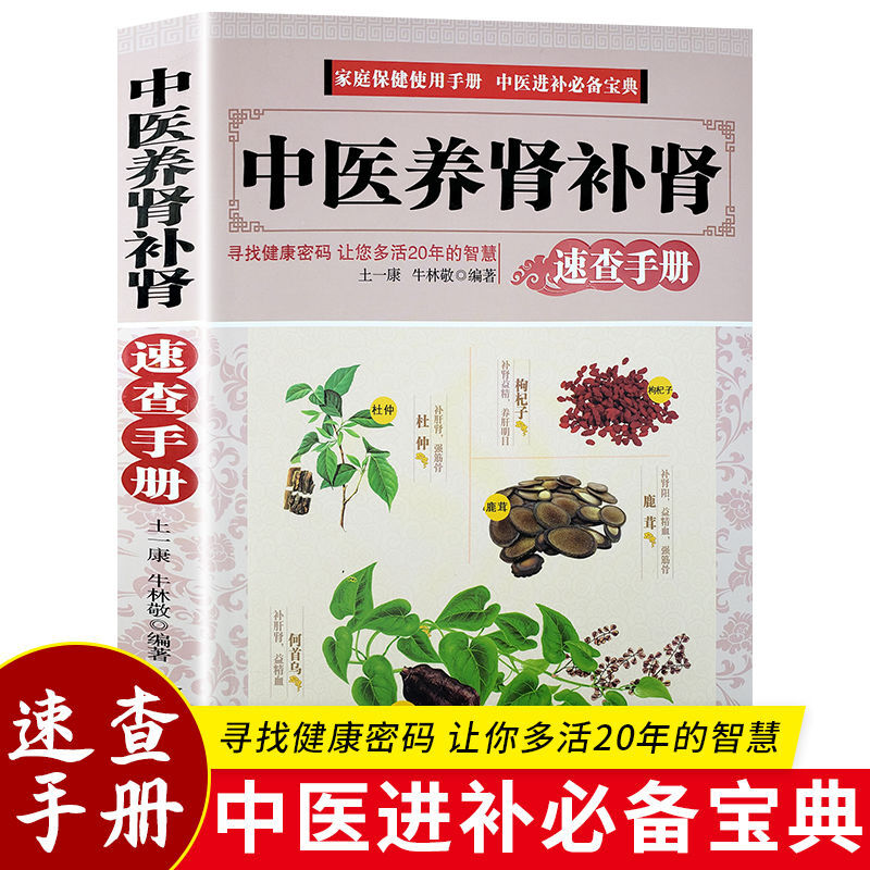 中医养肾补肾固本肾好不衰老饮食食谱药膳按摩推拿穴位图预防肾结石肾炎阳痿尿毒症痛风养肾补肾书籍中药材壮阳补肾中医养生大全书