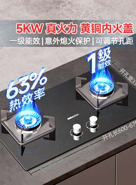 帅康3B801/803大火力可调节燃气灶家用厨房钢化玻璃液化气天然气