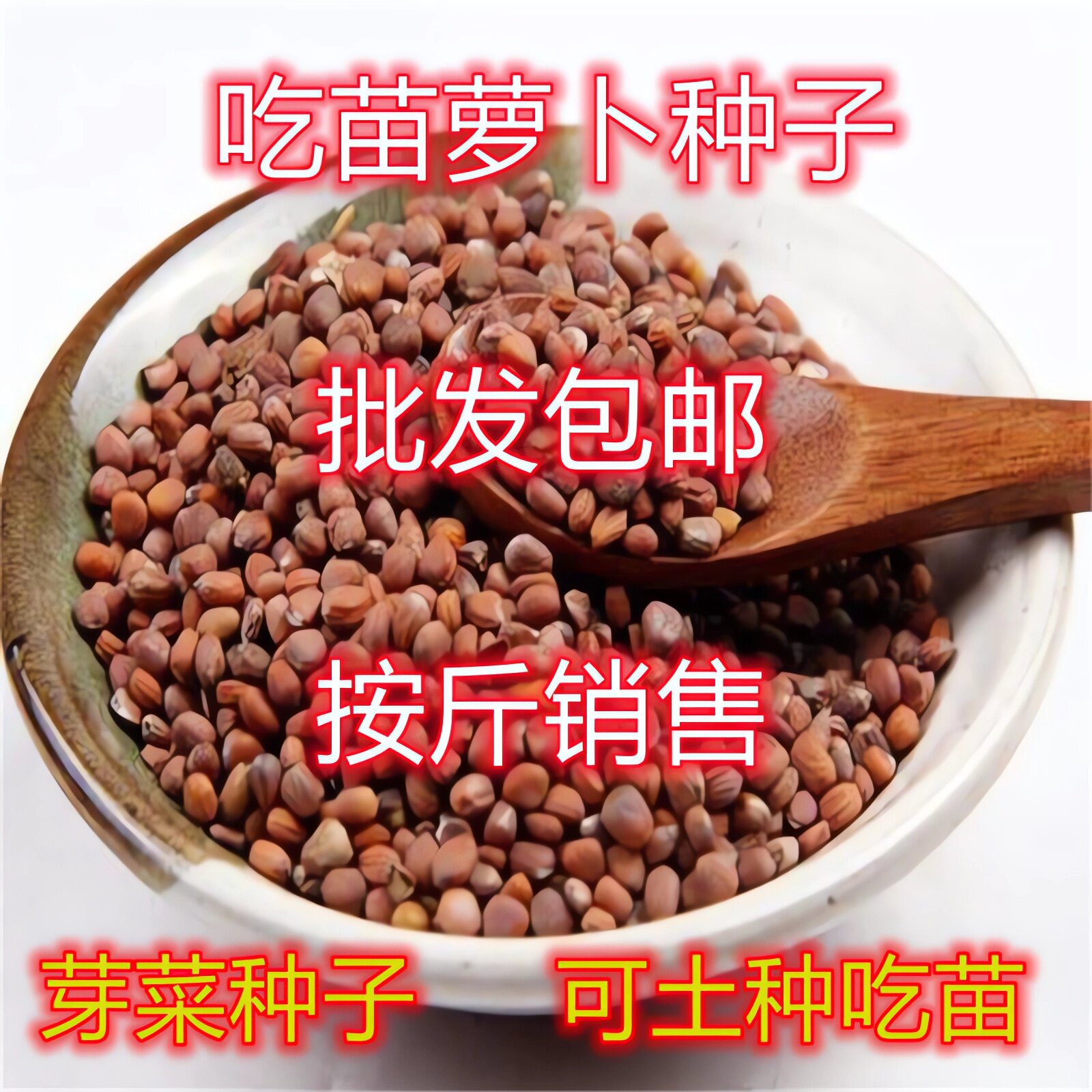 吃苗萝卜种子批发包邮按斤卖芽苗菜白萝卜种籽莱菔子阳台四季种植