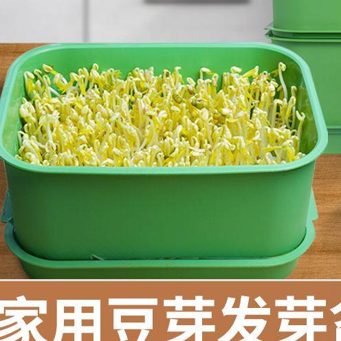 厨房发豆芽工具组合食品级发芽盆生绿豆芽方法芽花生芽水培发芽盆