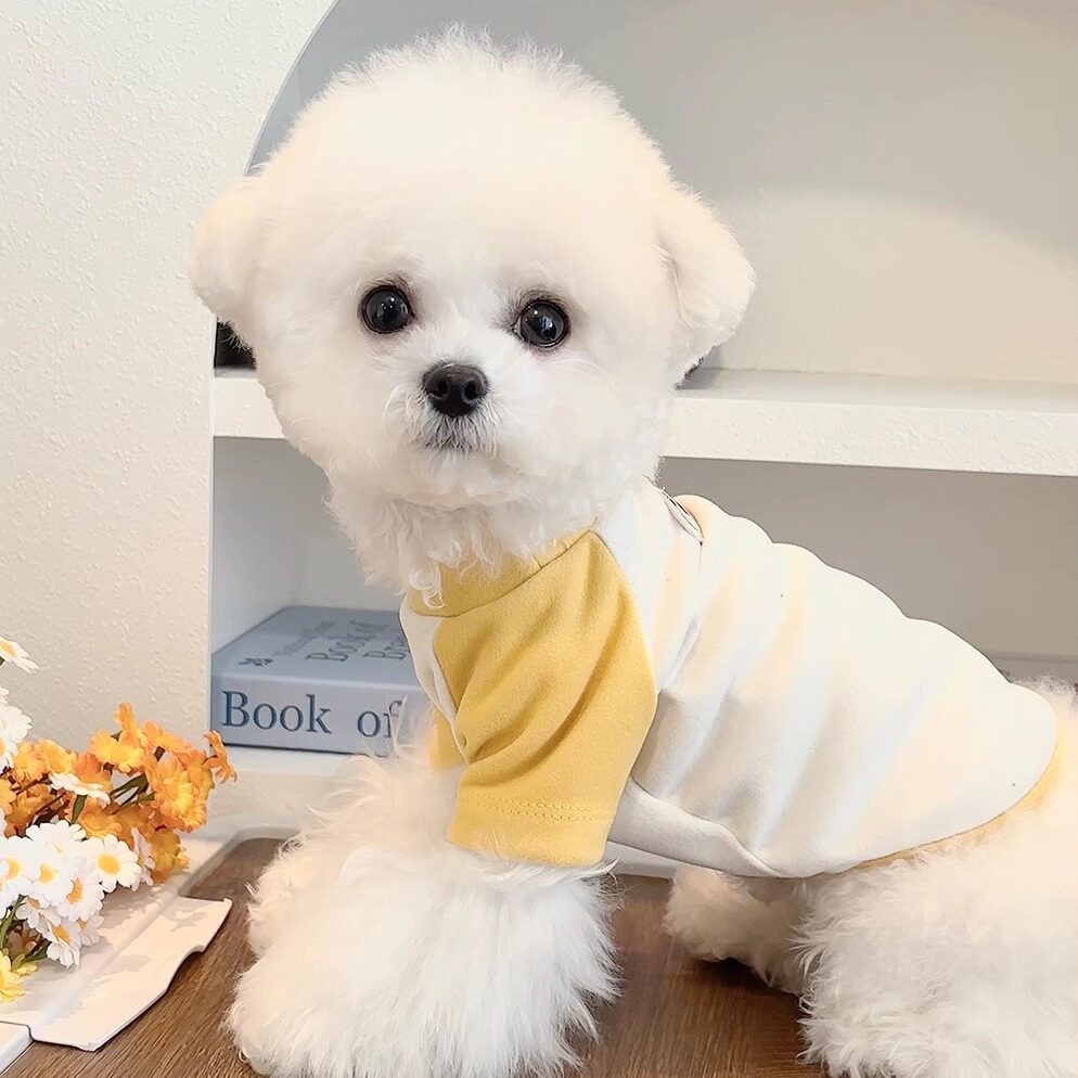小猫小狗衣服防掉毛防脏秋天冬季