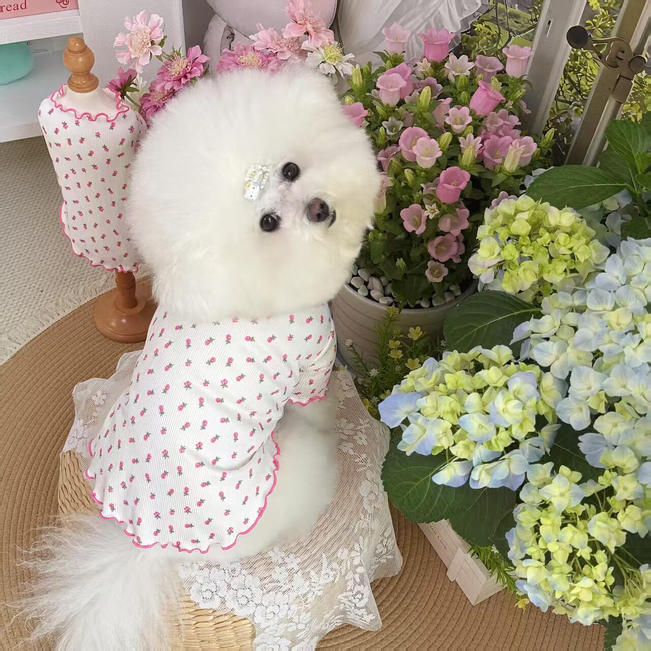 防脏防掉毛小猫小狗衣服冰丝凉快