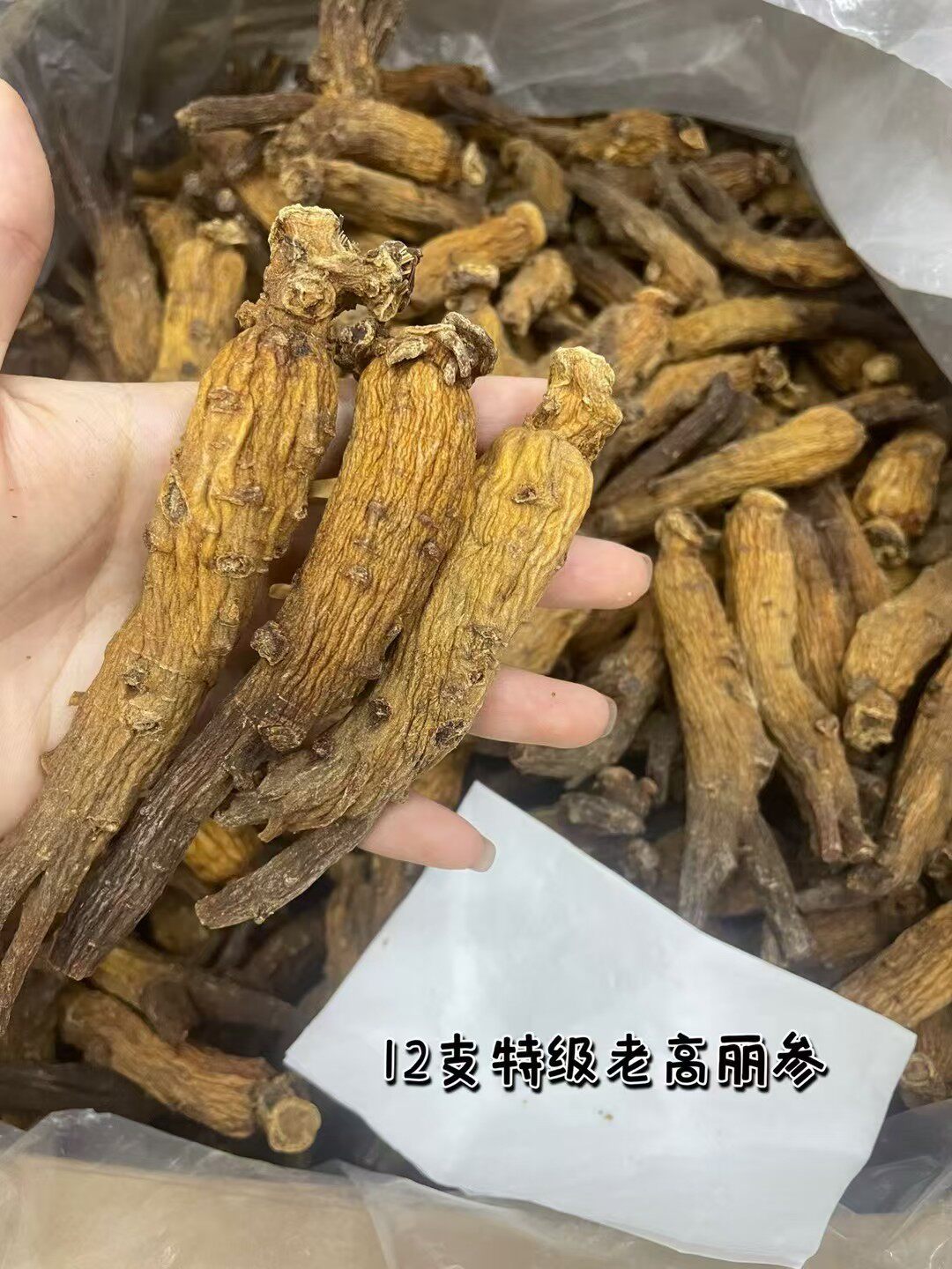 天字号韩国高丽参红参片老参500整支无糖8年根红参朝鲜干货别直参