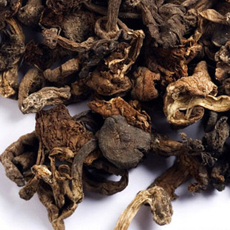 【零售】贺兰山蘑菇宁安堡紫蘑菇克送人礼品盒装宁夏特产