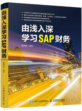 由浅入深学习SAP财务 企业财务工作人员的操作指导 SAP原理操作配置设计理念业务实践 SAP系统 财务分析 SAP 财务顾问备查书籍
