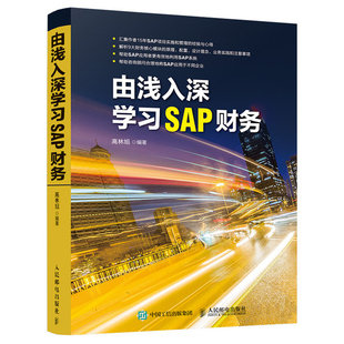 由浅入深学习SAP财务 企业财务工作人员的操作指导 SAP原理操作配置设计理念业务实践 SAP系统 财务分析 SAP 财务顾问备查书籍