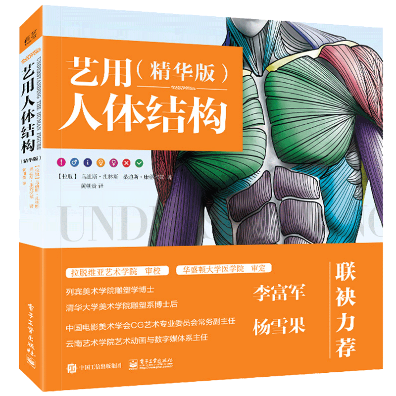 艺用人体结构 jing华版 人体解剖学知识 形体解析专业知识 人体结构