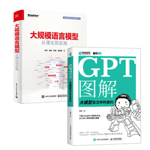 GPT图解 大模型是怎样构建的 黄佳+大规模语言模型 从理论到实践书籍