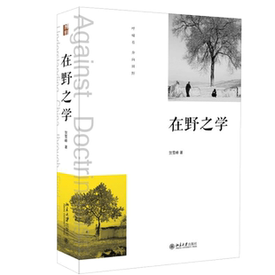 在野之学 贺雪峰 著 北京大学出版社 著名乡村研究学者贺雪峰教授系统总结华中乡土学派的集大成之作对中国学术方法上的深刻反思书