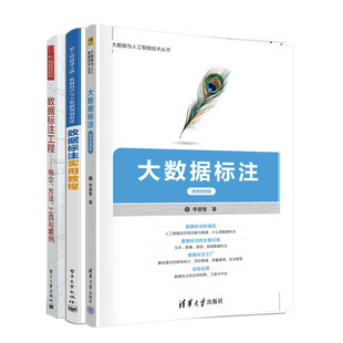 大数据标注 微课视频版+数据标注工程 概念 方法 工具与案例+数据标注实用教程书籍