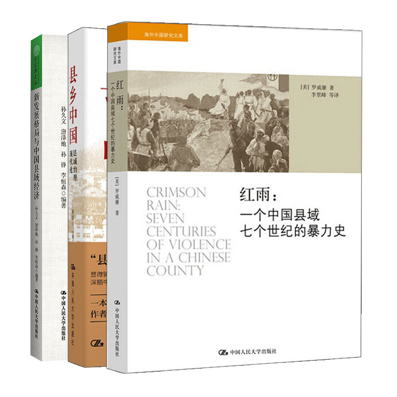 县乡县城治理现代化+红雨+新发展格局与中国县域经济 3册 罗威廉 杨华 孙久文 唐泽地 孙铮 李恒森人民大学出版社