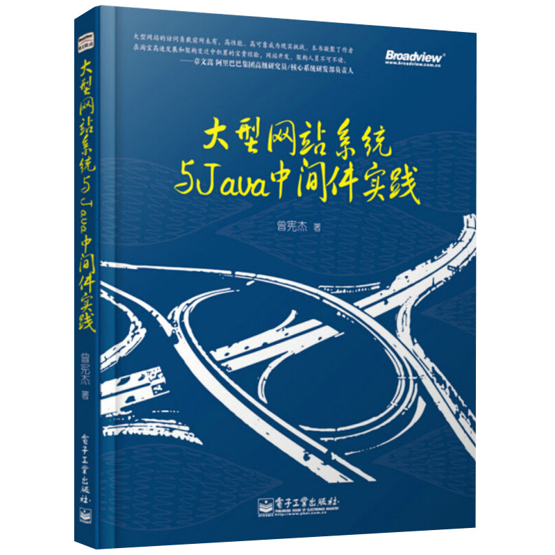 大型网站系统与Java中间件实践 通分布式高并发高数据高访问量网站架构与实现 大型网站技术架构 网站开发设计入门图书籍