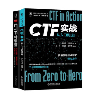 解题方法与竞赛技巧书籍 技术详解 CTF实战：从入门到提升 CTF训营