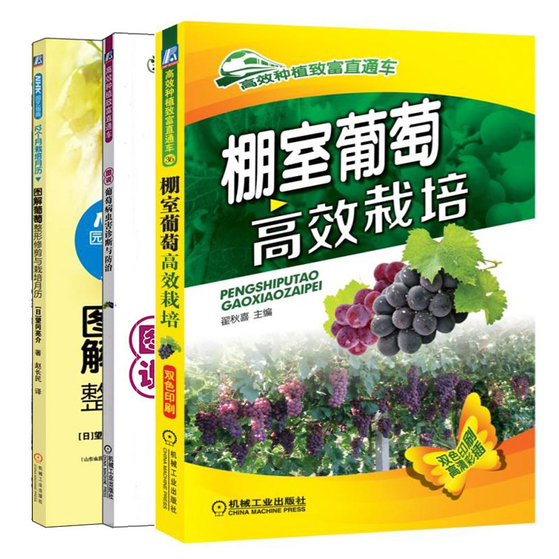 棚室葡萄栽培 图解病虫害诊断与防治 图解葡萄整形修剪与栽培12月历
