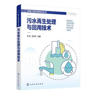 污水再生处理与回用技术 王怡 王社平 化学工业出版社9787122480866