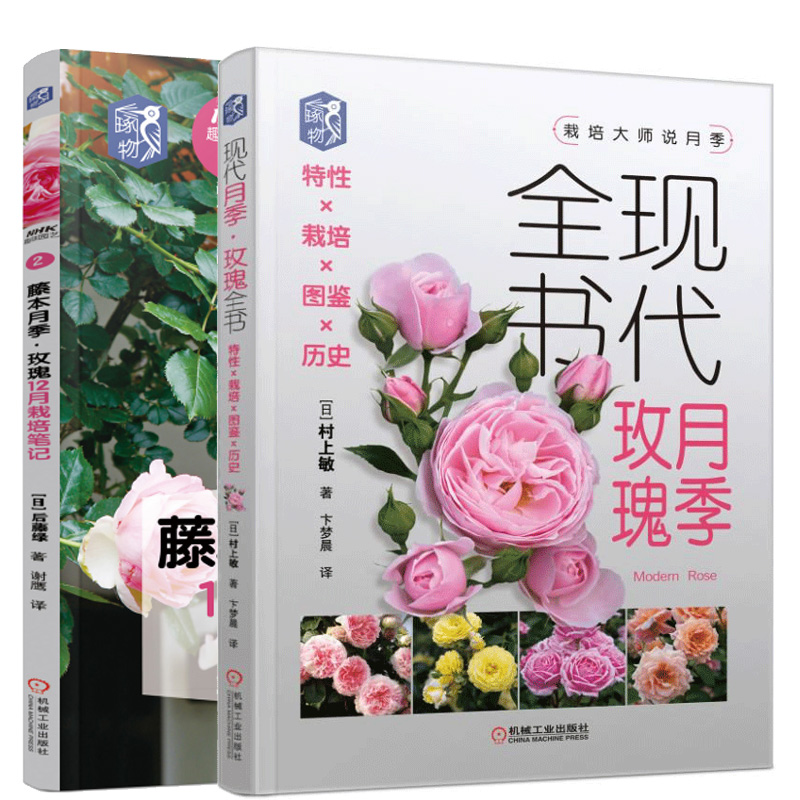 藤本月季玫瑰12月栽培笔记 +现代月季玫瑰全书特性栽培图鉴历史共2本盆栽养护修剪技巧 月季栽培书 玫瑰花种植技术 养花入门园艺书